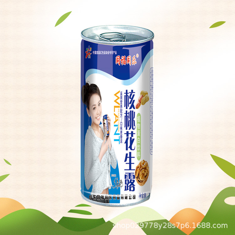 Manufactor Direct selling Retail Botany protein Drinks 240ml*16 Full container nut Calcium Walnut Peanut dew