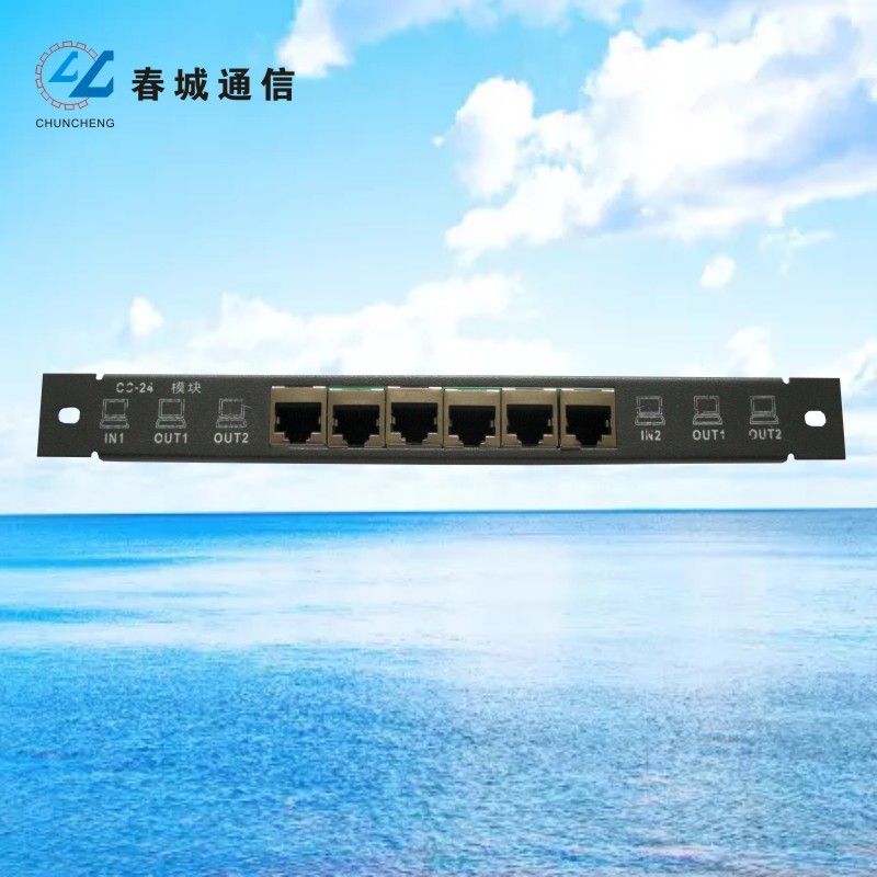 CC-24语音/数据模块 多媒体信息箱家居布线弱电箱2进4出电脑模块