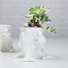 Simple Outdoor Gardening Creative Succulent Planter Dolphin Ceramic Planter Desktop Plant Pot Ornament