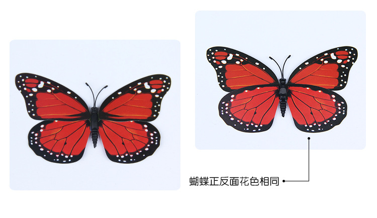 大花蝶12公分-详情_12.jpg