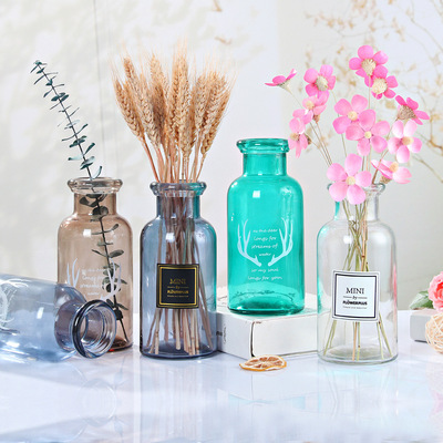 批发ins北欧风试剂花瓶玻璃干花透明满天星装饰花器摆设摆件
