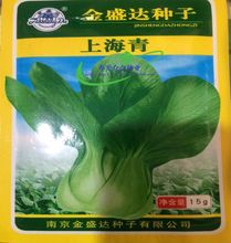 上海青油菜蔬菜种子金盛达品牌耐湿热越夏四季绿小白菜青菜速生