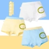 Boys 3 boxes of flat -angle lion