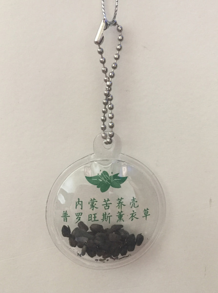 Transparent pendant PVC with down