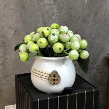 ����{�����Ϲ�ֲ���������b����[�� �Ҿӵ���������bٻ�