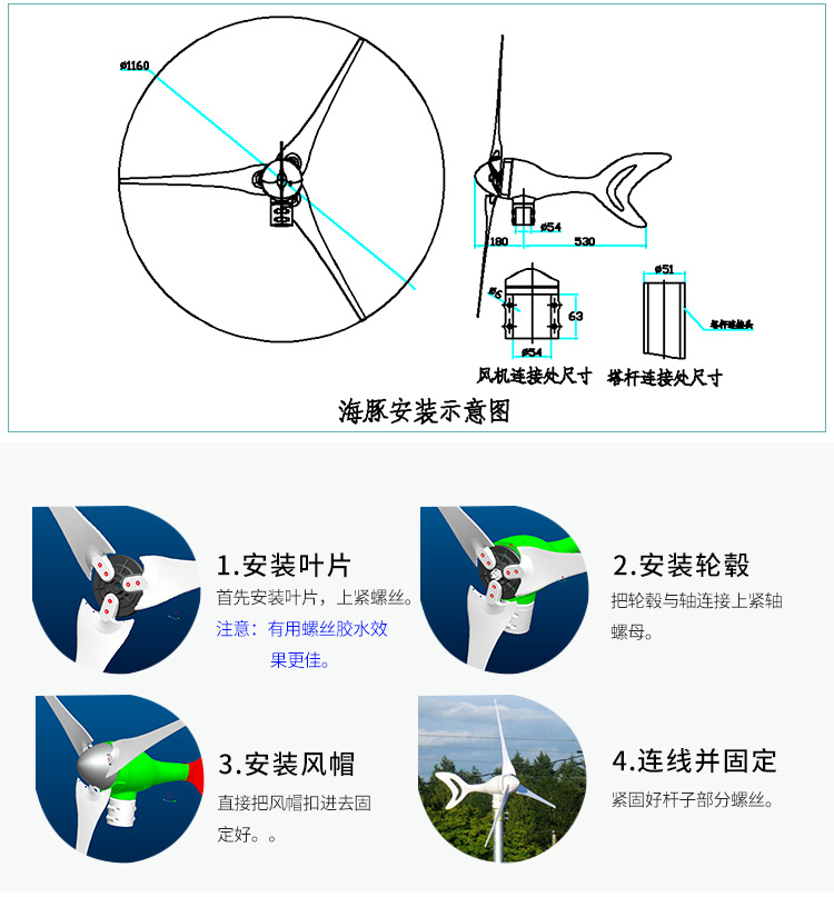 300W海豚_10