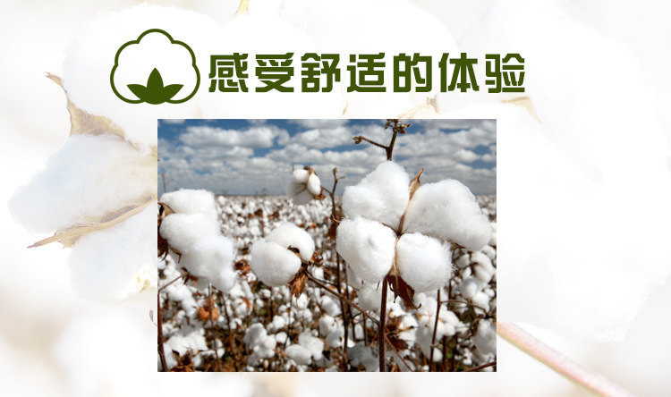 充电双肩包 (12).jpg