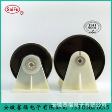 ��������C���  800V 100uF