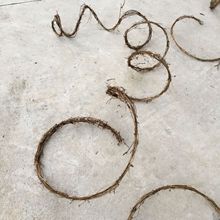 ���������پ� ���� �h�������b�Ʒ �}�Q���c�b�Ʒ