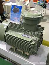 첽綯YBX4-315S-4-110KW-ExdIIBT4 Gb