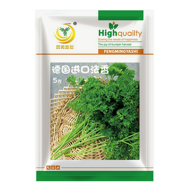 鳳鳴雅世 德國法香種子5克 四季農家蔬菜種子菜種籽種孑批發