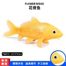 儿童实心仿真海洋生物动物模型花脊鱼 黄金锦鲤  观赏鱼玩具摆件