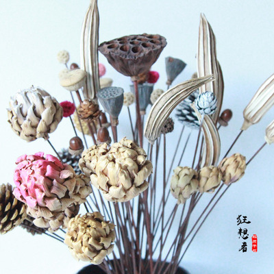 狂想者干果系列森系自然组合干花干枝真花配材草家居装饰批发