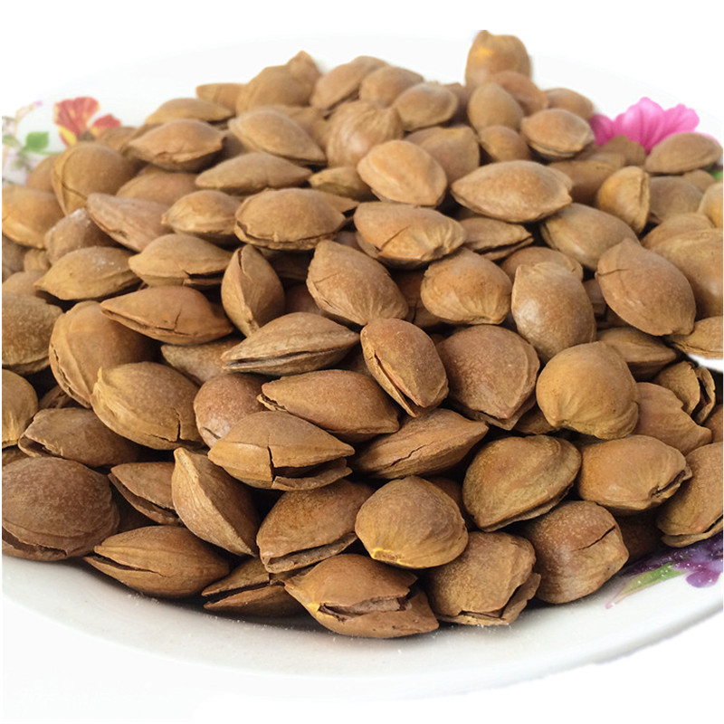 新疆特产批发 新货手剥开口小杏核 一级小白杏核小杏仁厂家直销