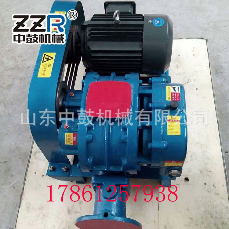 ZZR80,