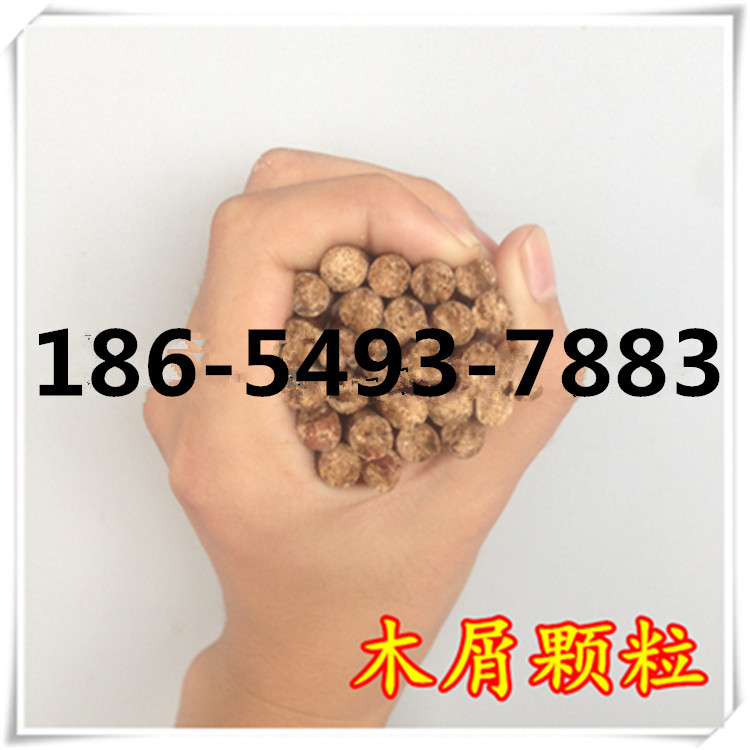 2599371934_2130515067_副本