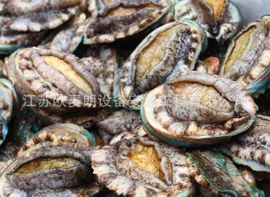 工厂化恒温养殖鲍鱼 空气能热水器空气源恒温热泵机组