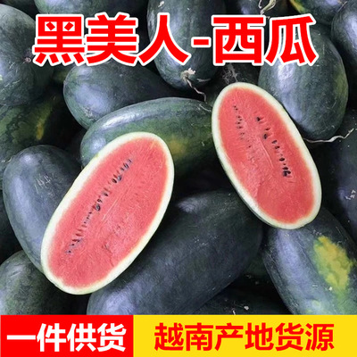 Vietnam Black Beauty watermelon fresh Season fruit Pellicle Black seed watermelon wholesale A generation of fat