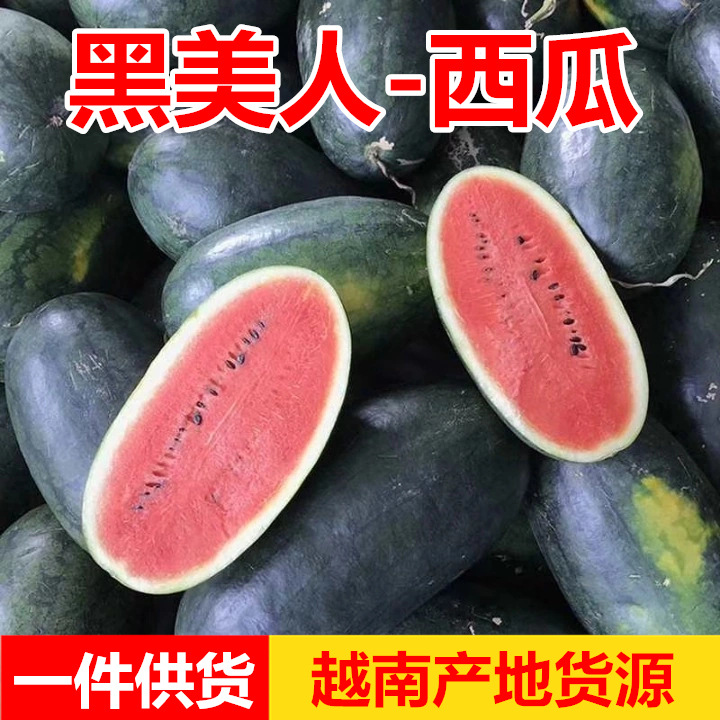 Vietnam Black Beauty watermelon fresh Season fruit Pellicle Black seed watermelon wholesale A generation of fat