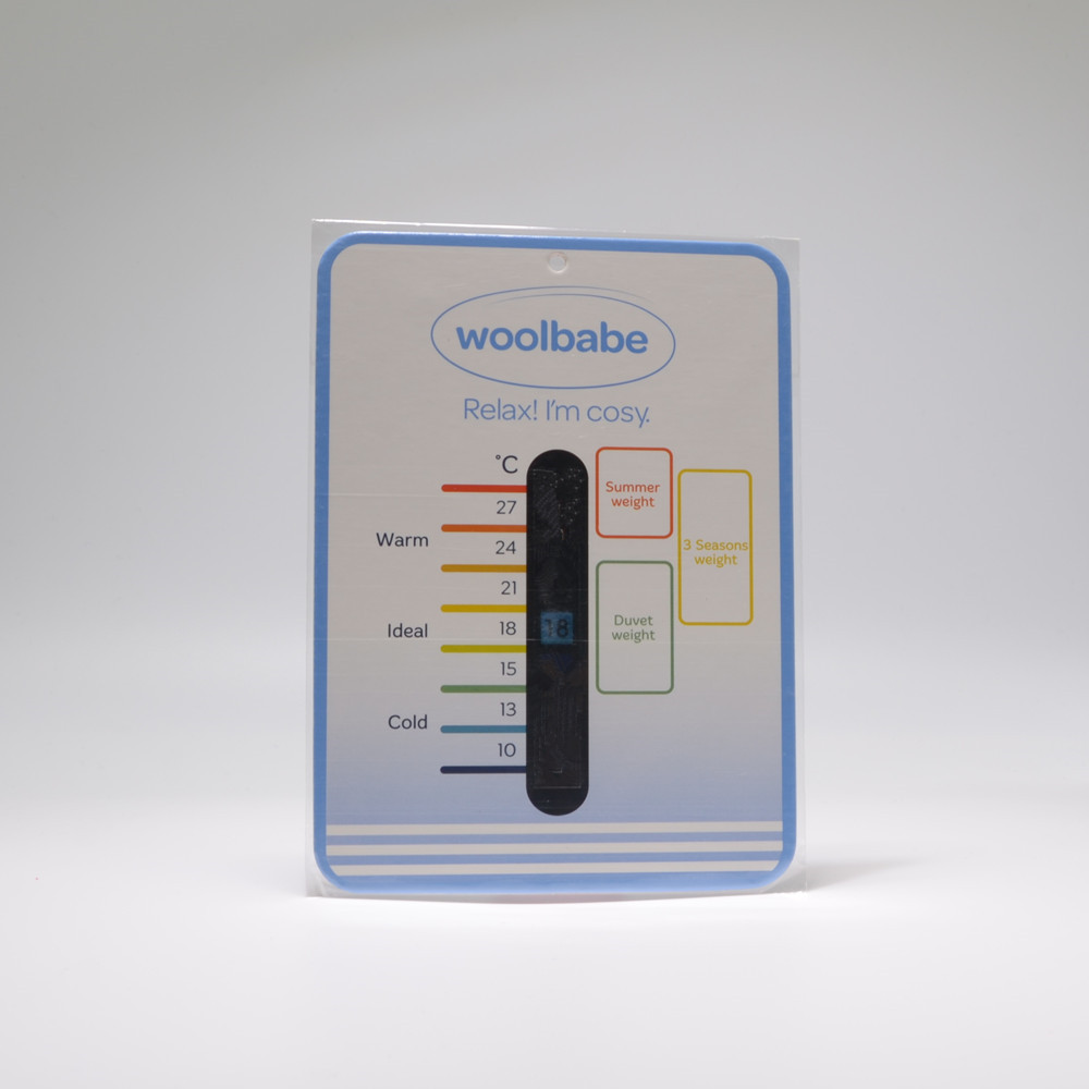 室内温度计 (37)