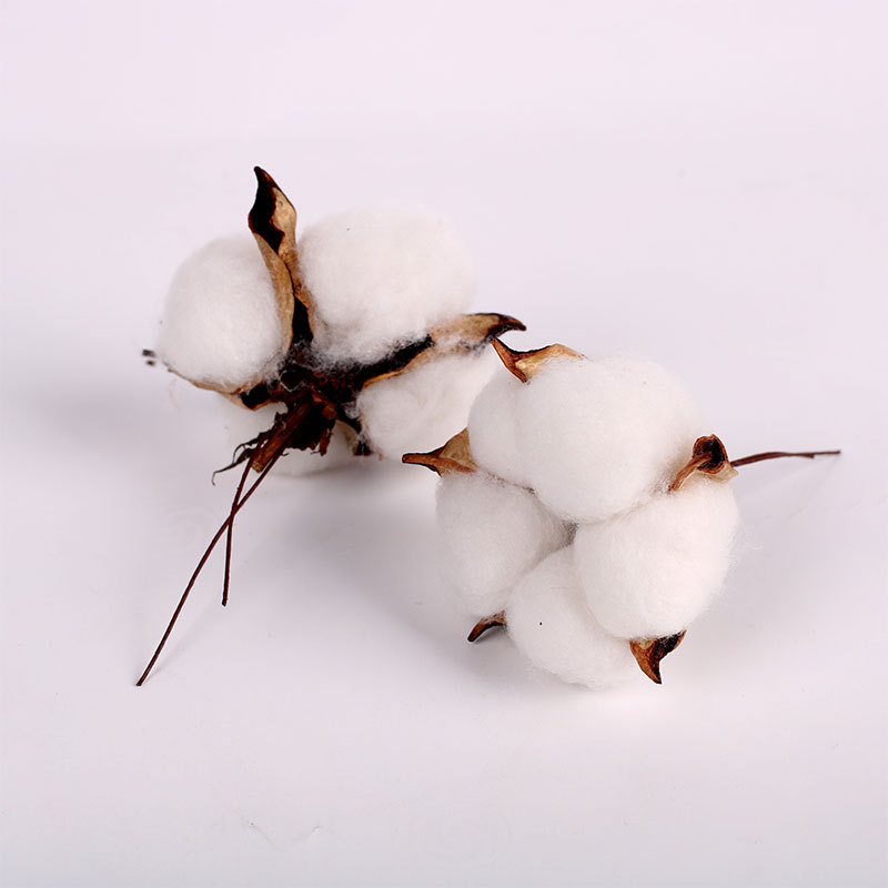 棉花头 铁杆diy仿真复古永生花环 拍摄道具天然干花 装饰花朵|ru