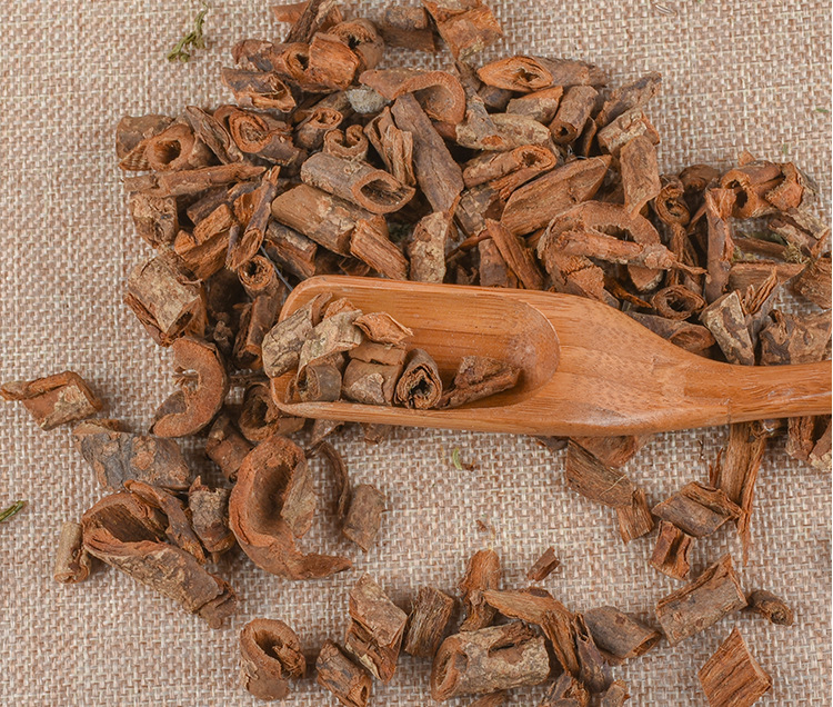 Zi Jing Pi (Cercis chinensis) — Dried Redbud Bark, Food-Herb Decoction Piece quality and texture