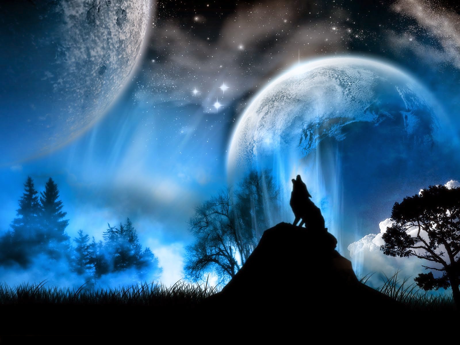 DW333  星球50乘以40.jpg