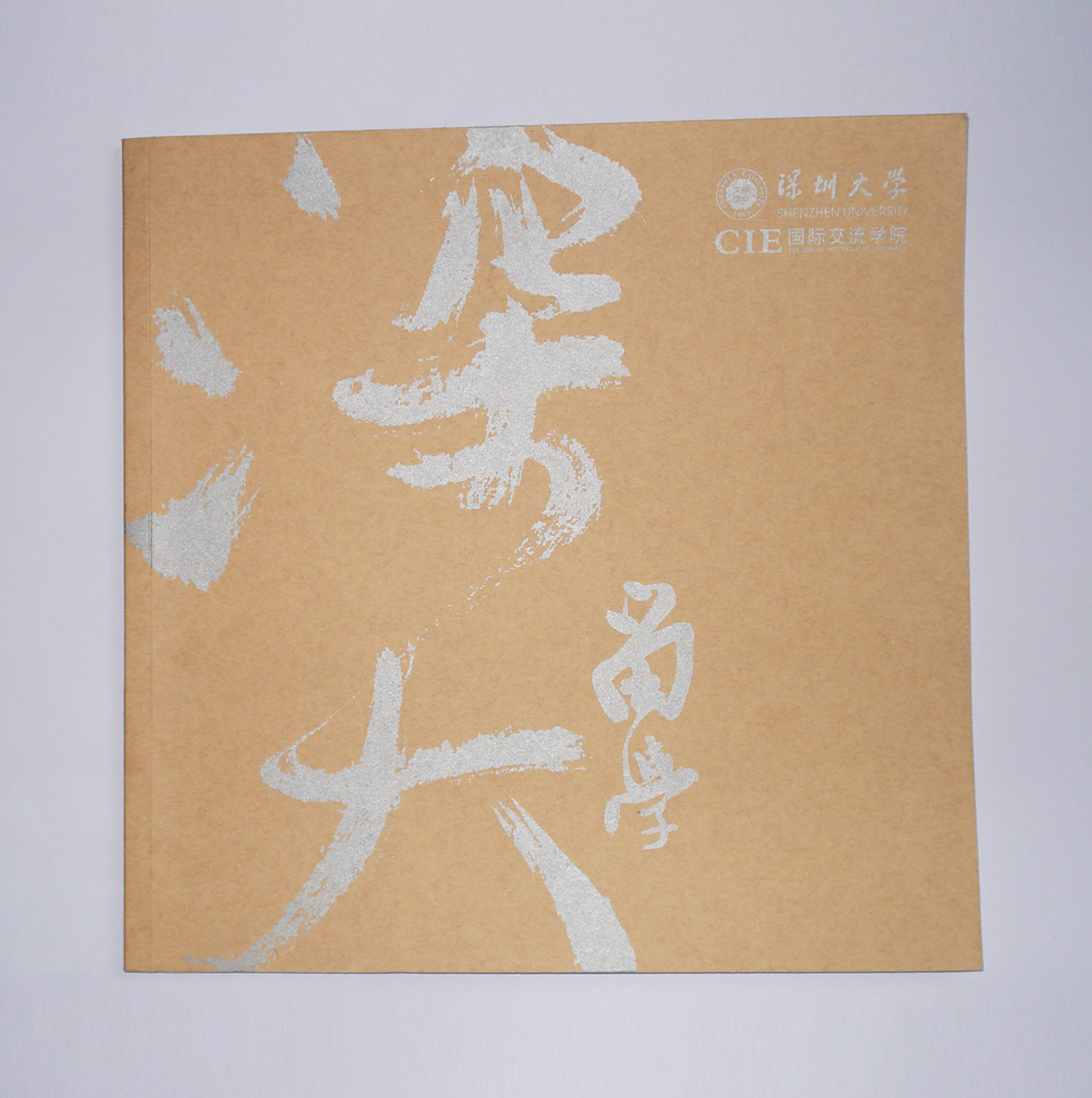 厂家订制企业宣传画册产品图册印刷彩页画册定制说明书宣传册