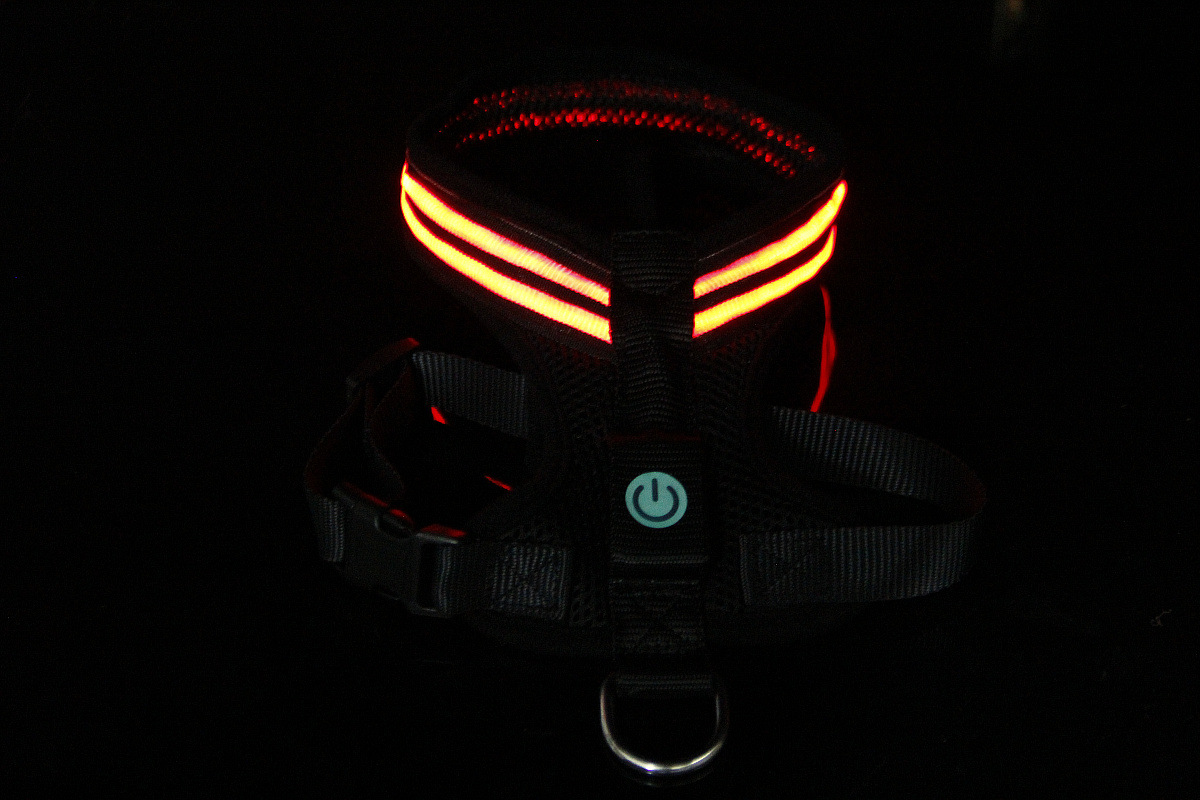 双光纤发光胸背带1200 (25).jpg