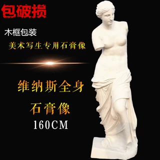 勃兰特1.6米全身维纳斯石膏像全身石膏像维纳斯头像维纳斯雕塑