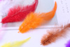 Manufacturers supply color 4-6 white-pointed feather feathers 8-15cm clothing auxiliary materials and handicraft decoration DIY manual