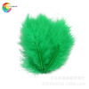 Winning feather manufacturers wholesale scattered roots of turbulent natural all -color color 50 sets of spot pet decoration