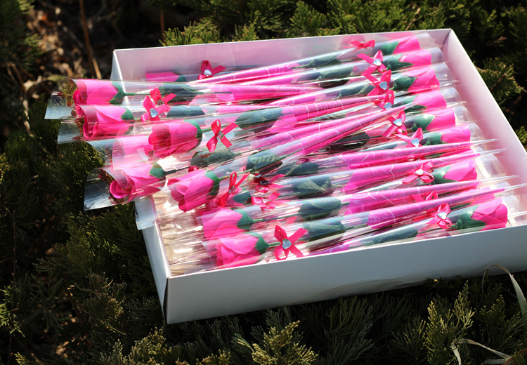 TB2eRdIh88kpuFjSspeXXc7IpXa_!!