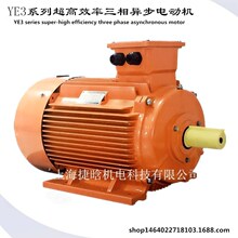 ��Ӧ�����첽�綯��YE3-160M2-2 15KW