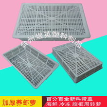 ֱ�����NҎ���r������D�����z���~�𶹸���Ӻ�ȫ�������Ͽ�