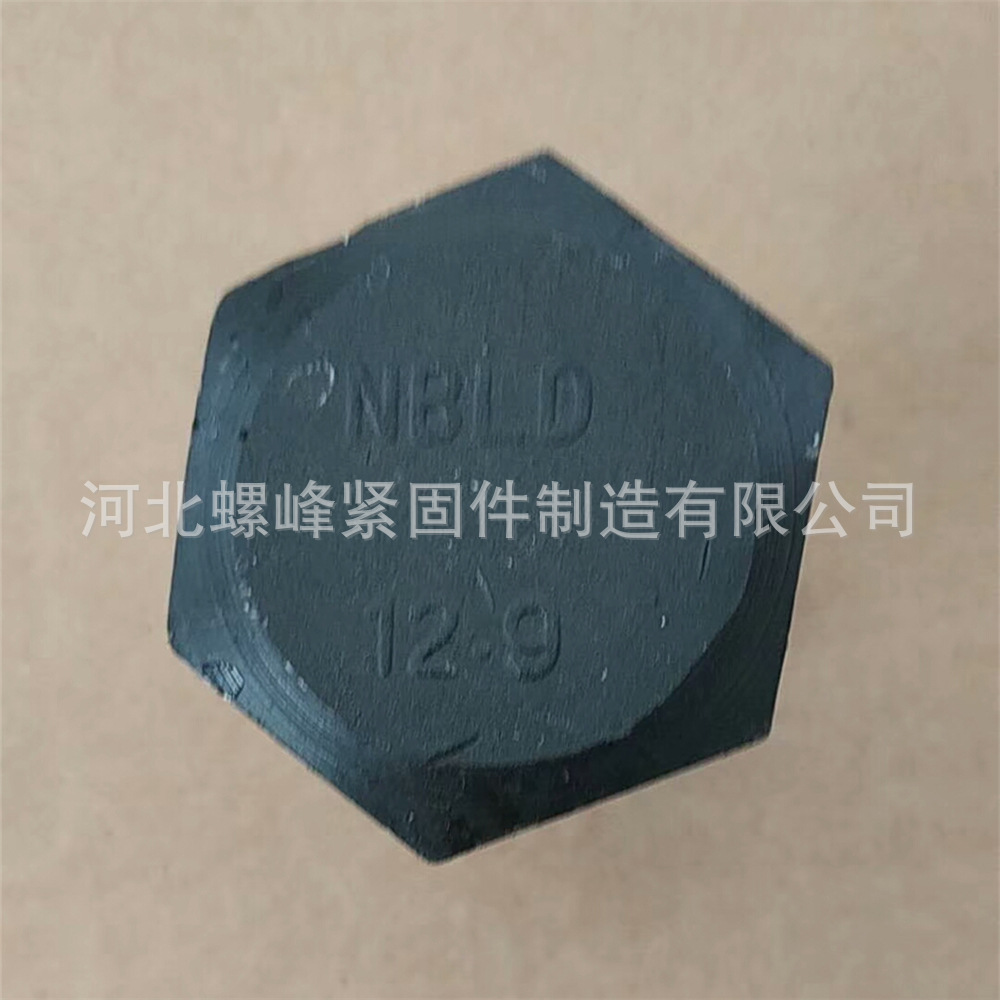 高強(qiáng)度12.9級(jí)六角頭螺栓 (7).jpg