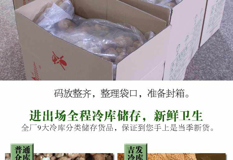 猴头菇-详情图al_14.jpg