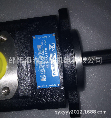 T6ERY 045 XR03 W42 AJ M249828串泵T6ED 045 045 3R0 B1 J224