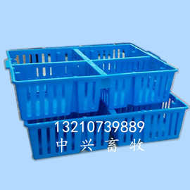 抗老化小鸡筐 鸡苗转运箱 拉雏鸡专用筐 鸭苗箱图片