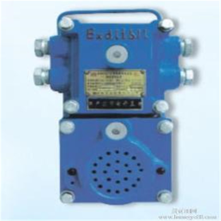 语音声光报警器 声光电子蜂鸣器 防爆声光报警器 矿用声光警号