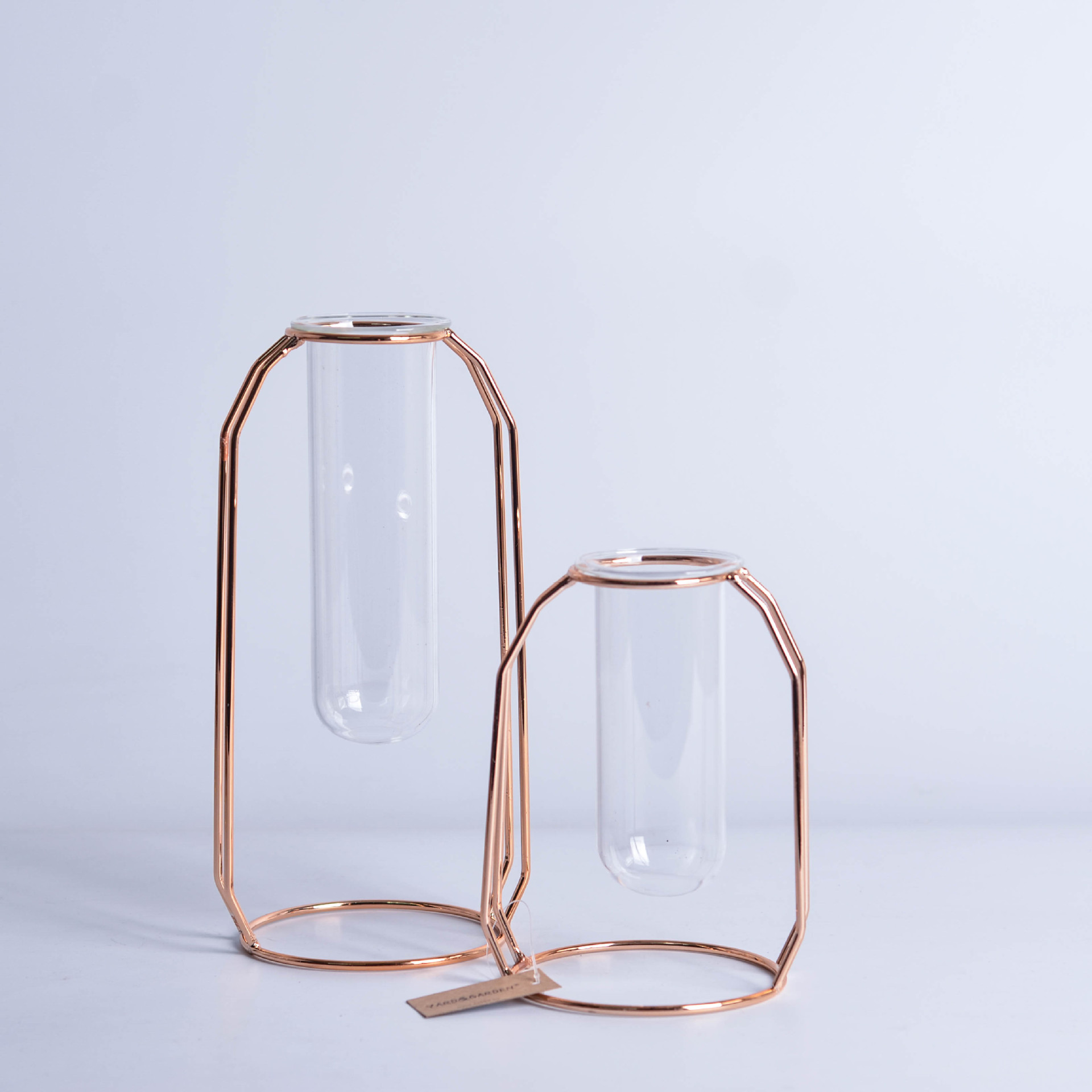 INS Minimalist Luxury Glass Hydroponic Metal Vase
