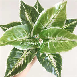 现货9头马蹄莲叶仿真植物插花植物墙绿植盆景植物把束婚庆花