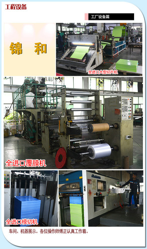 Dog Nail Clippers Factory Direct Sales Large and Small Stainless Steel Dog Nail Clippers Set Dog Pet Nail Clippers