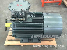 YH-355M2-4-250늙C����m��늙CYSF늙CV1���b�������֑�����