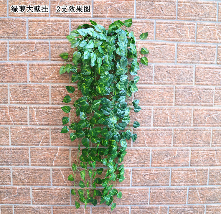 大壁挂 绿萝2支 宋体.jpg