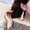 Crystal from pearl, earrings, long universal pendant, simple and elegant design