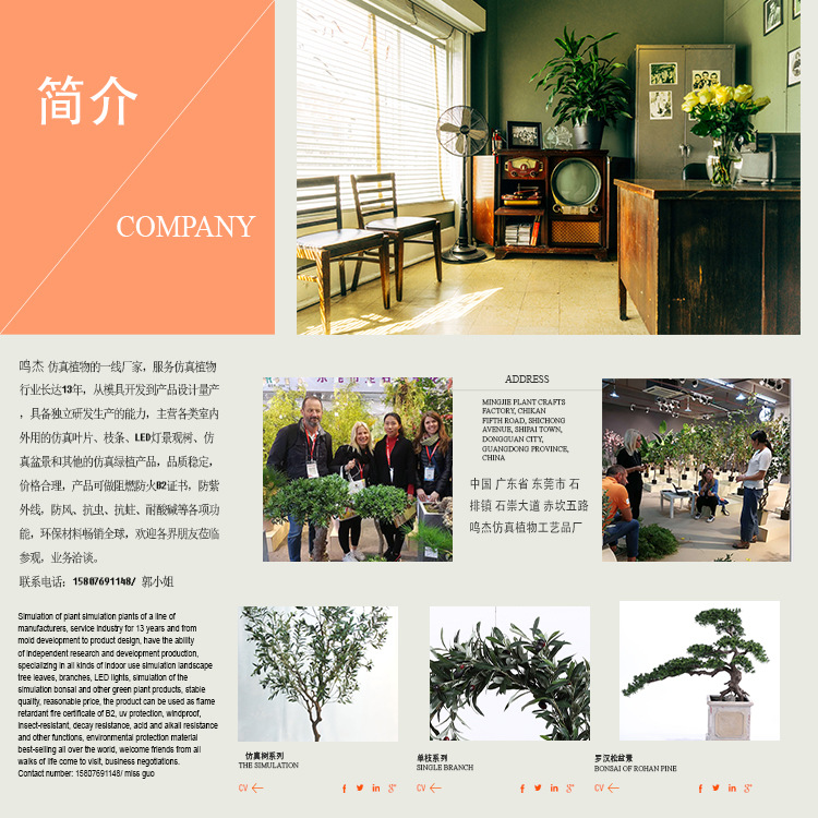 公司简介 副本