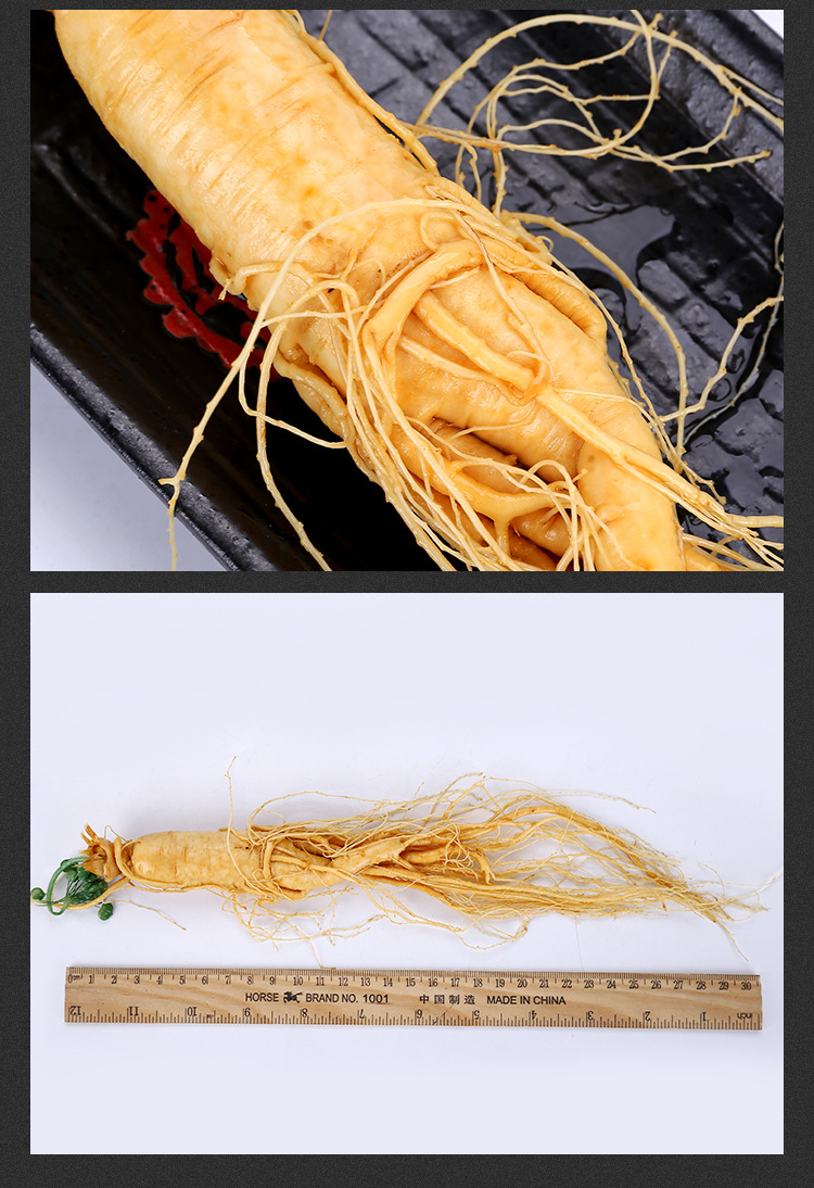 Changbai Mountain Fresh Ginseng (Panax ginseng) — Whole Roots for Wine & Soup in use