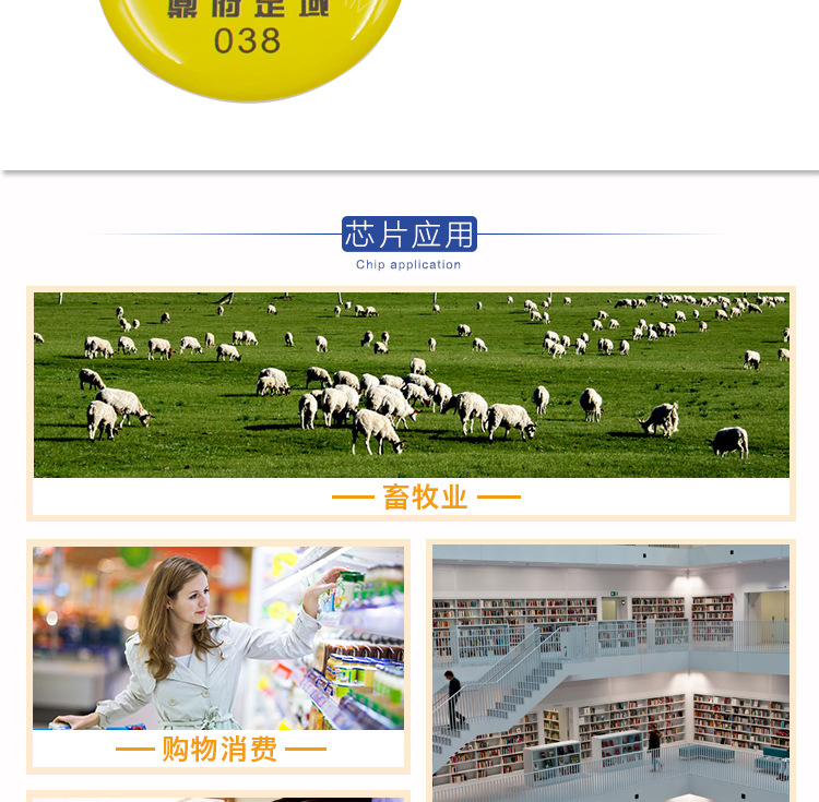 胸针校徽_10