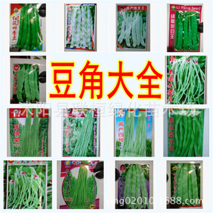 ����ļ��� ���� ܿü���� ������ ���� ����� �L���ǷN���߲�